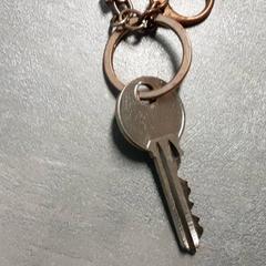 Nyckel, rapporterat av Arriva Friesland / Groningen med iLost