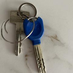 Sleutels, gerapporteerd met iLost