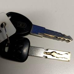 İLost kullanarak St. Antonius Ziekenhuis Nieuwegein tarafından bildirildiği gibi Anahtarlar