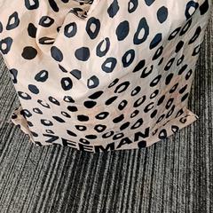 Borsa, come riportato da Arriva Vechtdallijnen utilizzando iLost