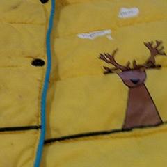 Weste, gemeldet von IKEA Gent über iLost