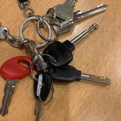 Nøkkelring, som rapportert av Gemeente Amsterdam ved bruk av iLost