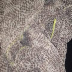 İLost kullanarak TivoliVredenburg tarafından bildirildiği gibi Şal