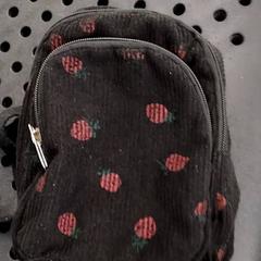 Bag Zwart, as reported by Arriva Infoshop Enschede using iLost