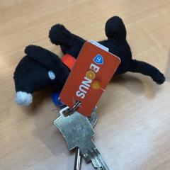 Sleutelbos sleitel, zoals gemeld door Gemeente Zutphen met iLost