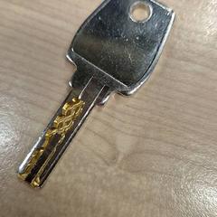 Klucz, zgłoszono przez IKEA Eindhoven przy użyciu iLost