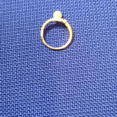 Ring, zoals gemeld door UvA REC met iLost