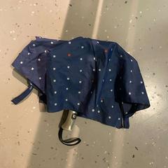 Esernyő Blue, amint azt Room Mate Bruno az iLost segítségével jelentette.