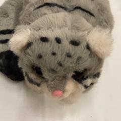 Peluche, a été signalé par IKEA神戸 utilisant iLost