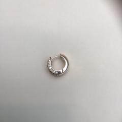 Oorbel / earring, as reported by Rijksmuseum using iLost