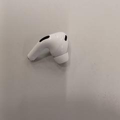 Oortje Wit, zoals gemeld door Heidelberglaan 15 met iLost