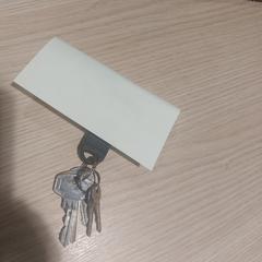 Autosleutels ook huissleutels etc., rapporterat av Gemeente Westervoort med iLost