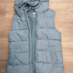 Weste, gemeldet von Diergaarde Blijdorp über iLost