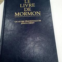 Książka, zgłoszono przez ilévia przy użyciu iLost