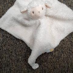 Kuschelige ohrfeige Wit, gemeldet von DierenPark Amersfoort über iLost