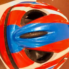 자전거 헬멧 rouge, iLost를 사용하여 TCL에 보고됨