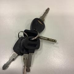 Sleutelbos, como reportado por Gemeente Amsterdam utilizando o iLost