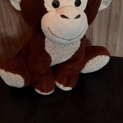Peluche, como reportado por Rotterdam The Hague Airport utilizando o iLost