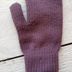 Hansker, som rapportert av DierenPark Amersfoort ved bruk av iLost