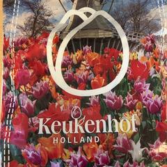Souvenirs, segons ha informat Keukenhof mitjançant iLost
