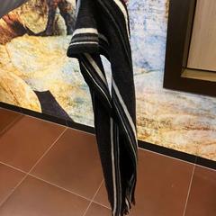 Écharpe, a été signalé par WestCord Hotel Eindhoven utilisant iLost