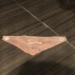 Babero Roze, ha sido reportado por Van der Valk Hotel Zwolle con iLost