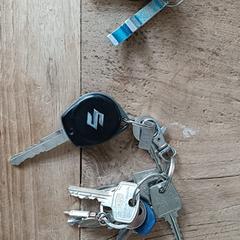 auto sleutels en huis sleutels, as reported to iLost