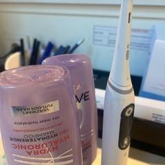 Pincel SHAMPOO ELVIVE AND TOOTH BRUSH, segundo informou Room Mate Bruno usando iLost