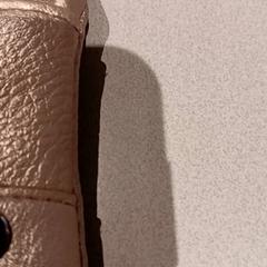 지갑, iLost를 사용하여 De Efteling에 보고됨