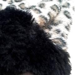 Rukavice, jak nahlášeno Qbuzz Fryslân pomocí iLost