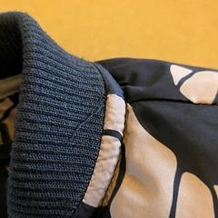 Jacke, gemeldet von Avonturenboerderij Molenwaard über iLost