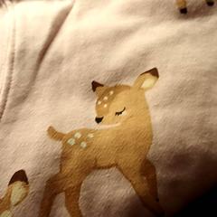 Blanket, as reported by BOAT&CO using iLost