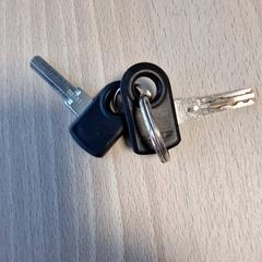 Bicycle key fietssleutel 2x9, as reported by Gemeente Roermond using iLost