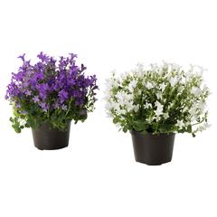 Producto IKEA CAMPANULA PORTENSCHLAGIANA violeta, ha sido reportado por IKEA Asturias con iLost