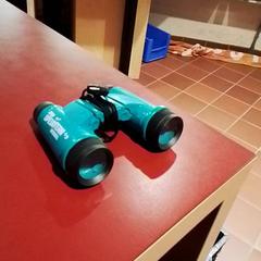 Prismàtics Turquoise, segons ha informat Apenheul mitjançant iLost