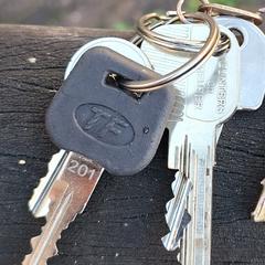 Sleutelbos, iLost에 보고됨