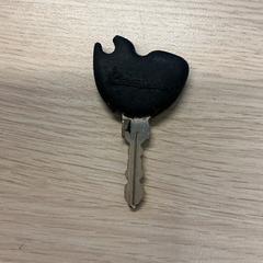 Chiave, come riportato da Gemeente Arnhem utilizzando iLost