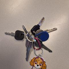 Bos Sleutels in Leiden, amint azt az iLostnak jelentették.