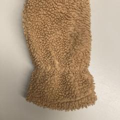 Hansker Teddy, som rapportert av Burgers' Zoo ved bruk av iLost