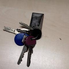 İLost kullanarak Arriva Oost-Brabant tarafından bildirildiği gibi Anahtar