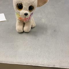 Gosedjur gosse, rapporterat av IKEA Linköping med iLost