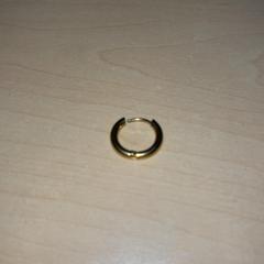 Earring Goudkleurig, as reported by Jaarbeurs using iLost