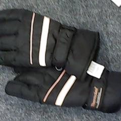 Gloves, as reported by SnowWorld Landgraaf using iLost