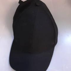 Cap, as reported by Diergaarde Blijdorp using iLost