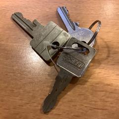 Sleutelbosje، كما تم الإبلاغ عنه بواسطة Gemeente Amsterdam عبر iLost