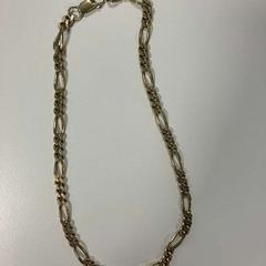 Halsband, rapporterat av Gemeente Ede med iLost