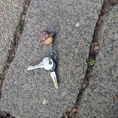 Keys, bike key or something else, ako bolo nahlásené iLost