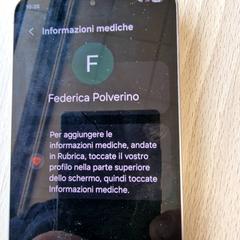 Phone Grijs van Federica Polverino Samsung, as reported by Gemeente Roermond using iLost