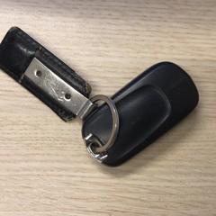 Bilnøkkel, som rapportert av Gemeente Arnhem ved bruk av iLost