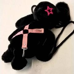 Bossa, segons ha informat GVB mitjançant iLost